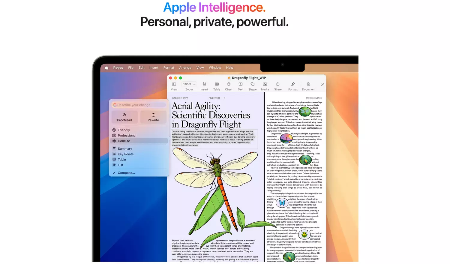 Apple MacBook Air 2025 13.6in M4 16GB 256GB - Image 6